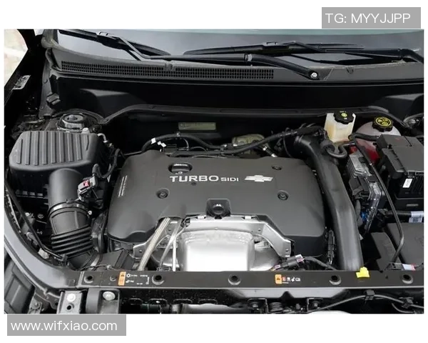 费德列斯达与桑德尼斯激战正酣谁能在这场对决中笑到最后 费德列斯达与桑德尼斯激战正酣谁能在这场对决中笑到最后