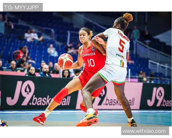 世界杯女篮激战阿根廷对决尼日利亚精彩瞬间回顾与分析