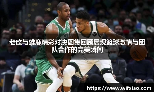 老鹰与雄鹿精彩对决图集回顾展现篮球激情与团队合作的完美瞬间